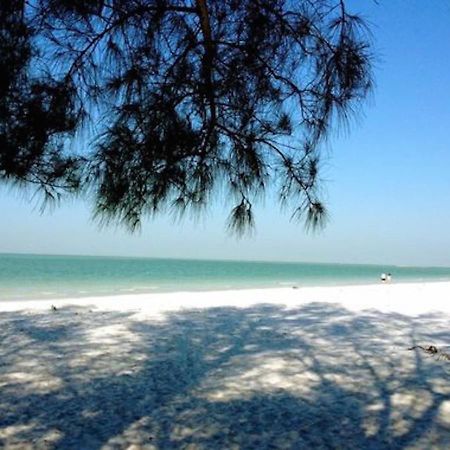 Affordable Beach Condos - One Bedroom Dlx Condos Сейнт Пийт Бийч Екстериор снимка